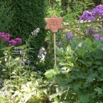 Sonne und Mond  bewachen den Phlox