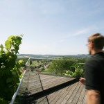 Gesamtsteirische Vinothek St. Anna am Aigen